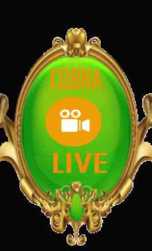 COBRA IPTV 3