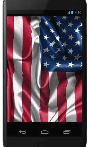 Flag of USA 2