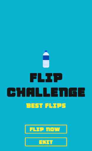FLIP CHALLENGE 1
