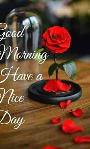 Good morning evening night messages and images Gif 1
