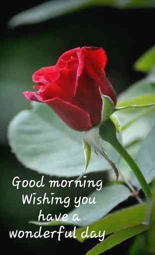 Good Morning photos GIF, Happy Morning messages 3