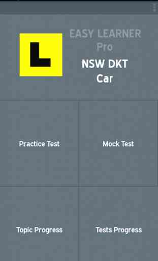 NSW DKT Car App (Pro) 1