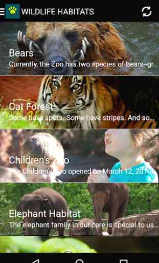 OKC Zoo 3