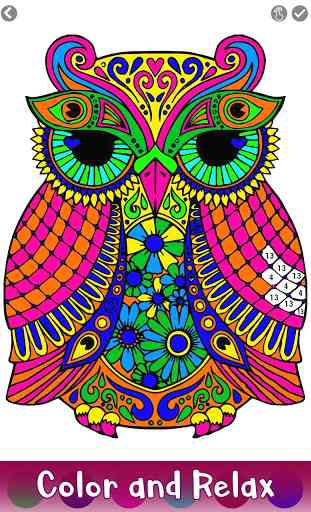 Owl Color by Number - Birds Coloring Book Pages 3