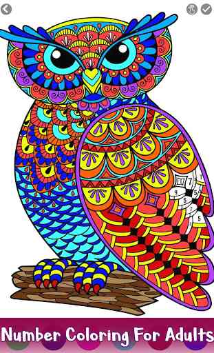 Owl Color by Number - Birds Coloring Book Pages 4