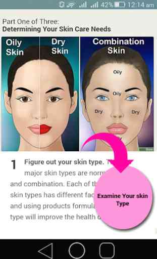 Skin Care Tips Ofline ; Beauty  Tips 1