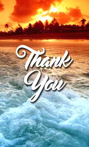Thank You Cards 1