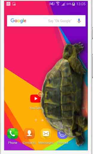 Turtle Walks in Phone joke 1