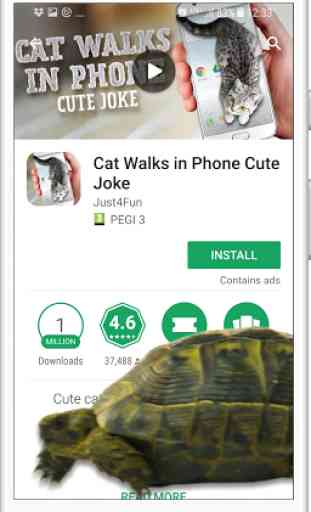 Turtle Walks in Phone joke 2