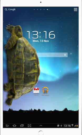 Turtle Walks in Phone joke 4