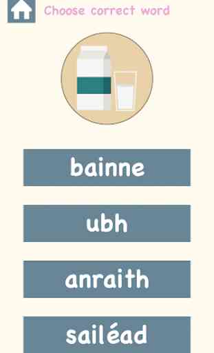 Caoga caoga - Learn Irish Vocabulary 2