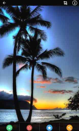 Hawaiian Sunset Wallpaper 3