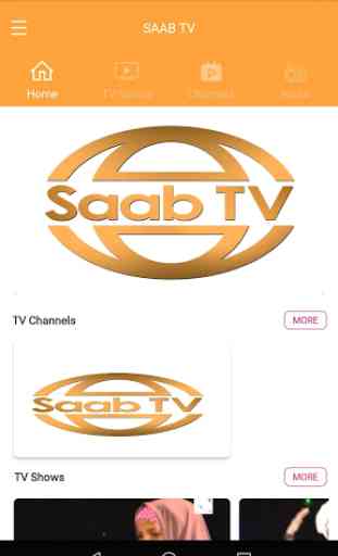 SAAB TV 2