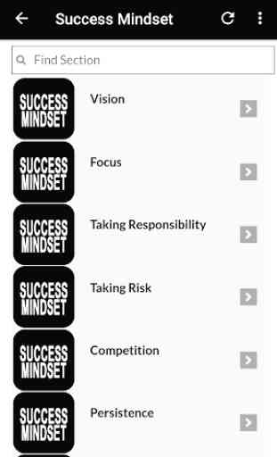 Success Mindset - Secrets of Success 2