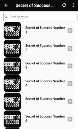 Success Mindset - Secrets of Success 3