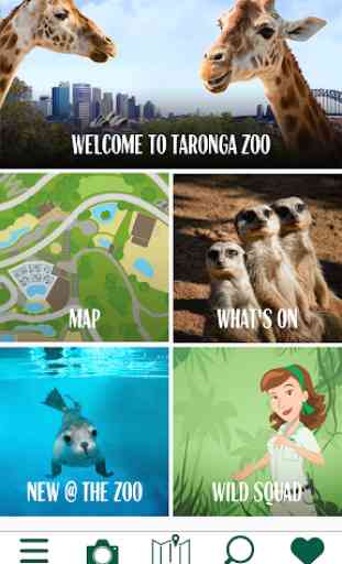 Taronga Zoo 1
