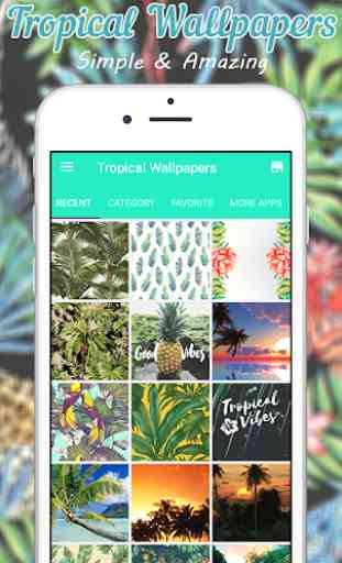 Tropical Wallpaper 1