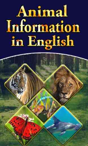 Animal Information in English 1