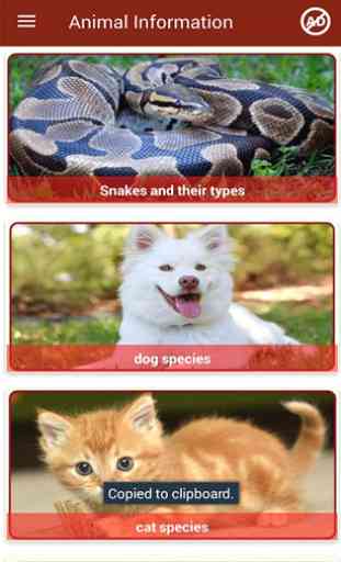 Animal Information in English 3
