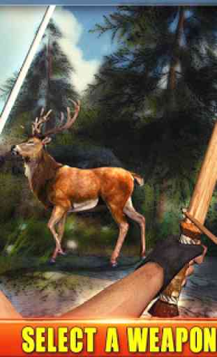 Archery Deer Hunting 2019 3
