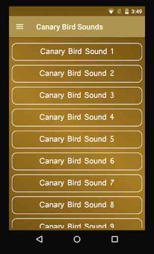 Canary Bird Sounds 1
