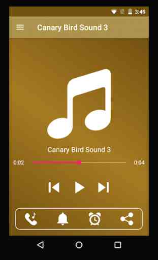 Canary Bird Sounds 2