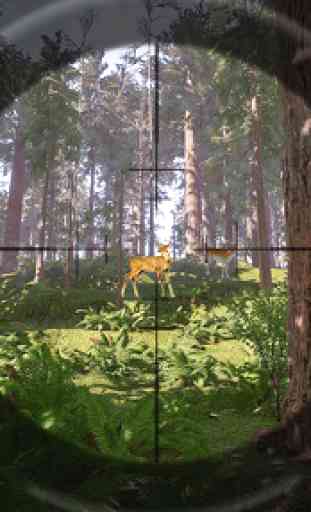 Deer Sniper Hunting: New Deer Hunting Games 2020 4