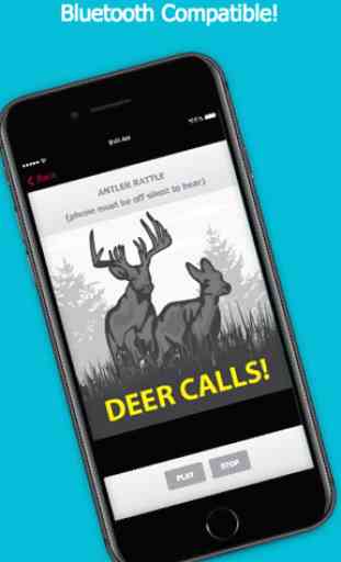 Deer Sounds & Calls! 3
