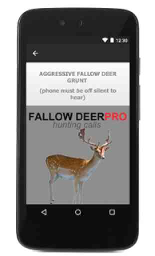 Fallow Deer Calls for Hunting 3