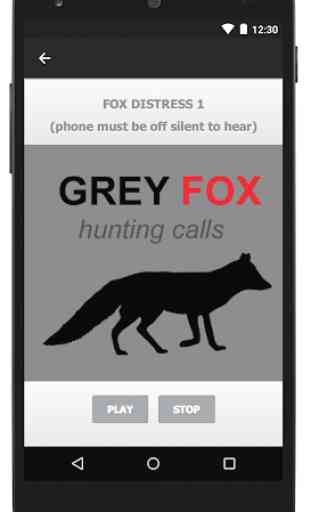 Gray Fox Hunting Calls & Predator Calls Fox Sounds 3