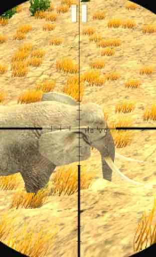 Hunting by 4X4-Safari 3