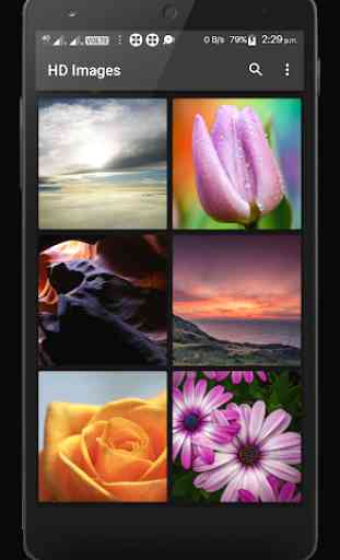 Image Search - HD Wallpapers Backgrounds Download 1