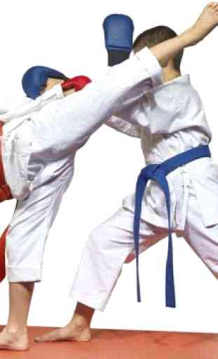 Learn Taekwondo Techniques 3