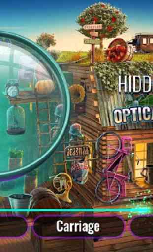 Optical Illusions Hidden Objects Game 1