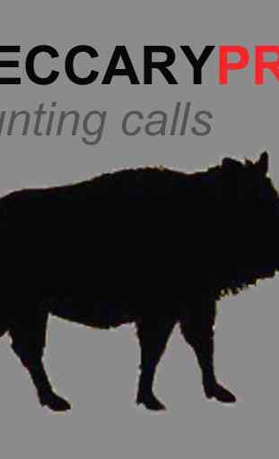 Peccary Calls For Hunting 1