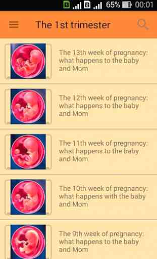 Pregnant. Pregnancy by week. Pregnancy calendar 4