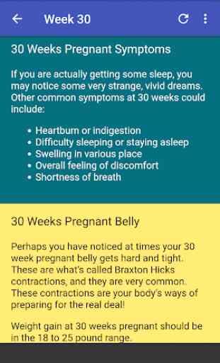 Stages of Pregnancy 4