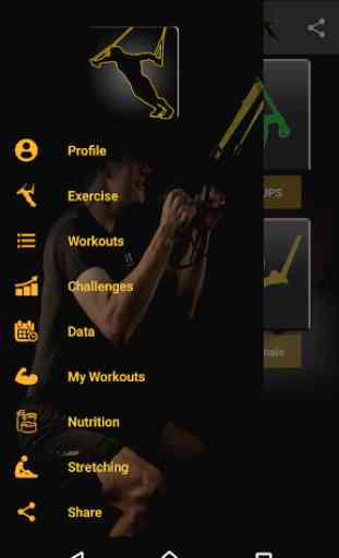 Suspension Workouts : Fitness Trainer Pro 1