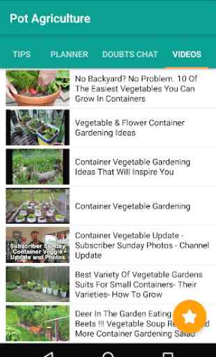 Urban veggie garden 4
