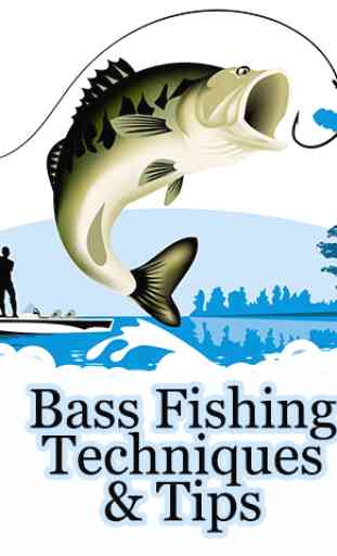Bass Fishing Techniques & Tips & bass fishing lure 1