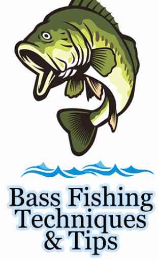 Bass Fishing Techniques & Tips & bass fishing lure 2