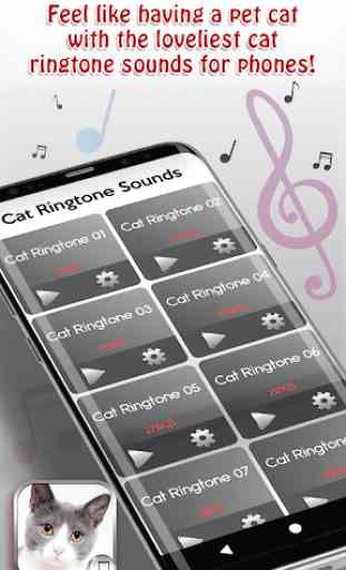 Cat Ringtone Sounds 2