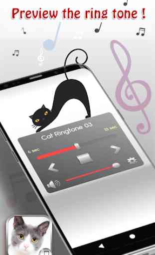 Cat Ringtone Sounds 3