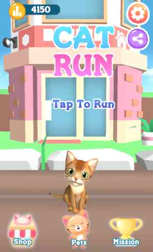 Cat Run 1