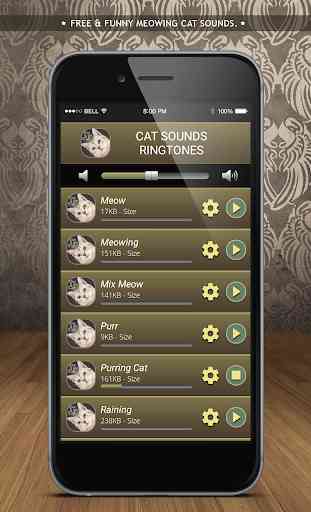 Cat Sounds Ringtones 3