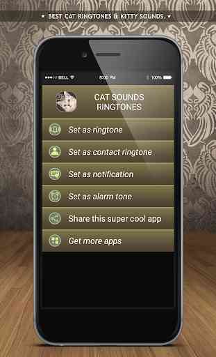 Cat Sounds Ringtones 4
