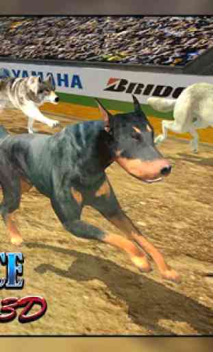 Dog Racing - Dog race Simulator 1