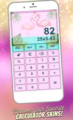 Flamingo Calculator 3