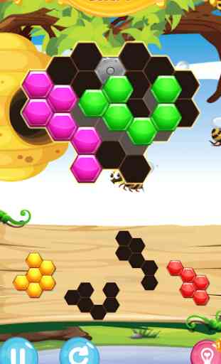 Honey Bee: Hexagon Hive Puzzle 2