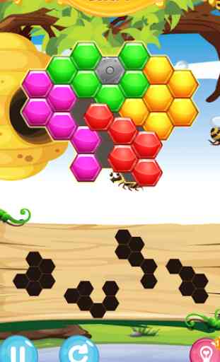 Honey Bee: Hexagon Hive Puzzle 3